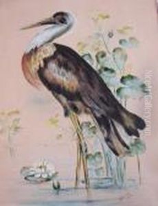 Study Of A Crane Standing In Water With Pond Lillies by James Scott Kinnear