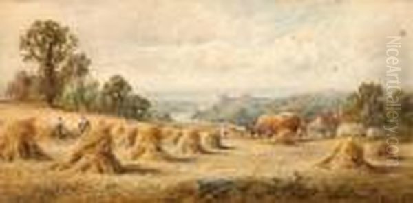 Harvest Time In The Fields Before Arundelcastle - view 1