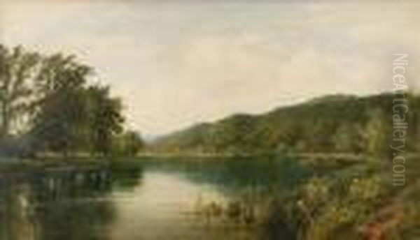 Riverscene - view 1