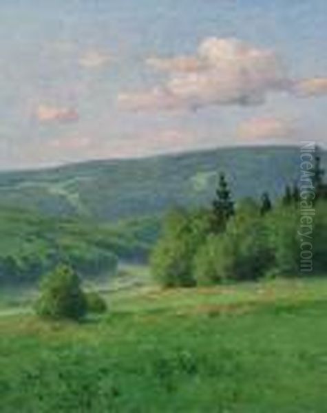 Sommertag Im Taunus - view 1