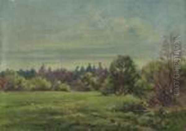 Fruhlingswiese Am Waldrand - view 1