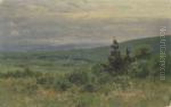 Abend Uber Dem Taunus - view 1