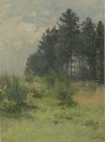 Sommerlicher Waldrand - view 1