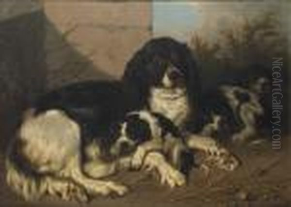 Chienne Et Ses Petits - view 1