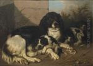 Chienne Et Ses Petits by Carl Fredrik Kioerboe