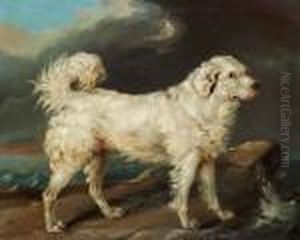 Friederich Kiorboe Ascribed To: A Dog On A Cliff At The Sea by Carl Fredrik Kioerboe