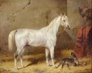 Cheval Et Chien A L'ecurie Cheval Et Chien A L'ecurie