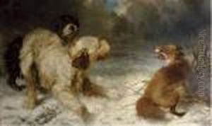 A Fox Trapped By Two Hunting Dogs by Carl Fredrik Kioerboe