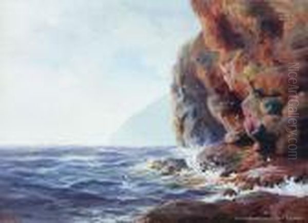 Great Barrier Island - view 1