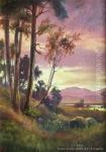Rai Valley, Marlborough by Henry William Kirkwood