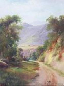Belmont Hill Road, Lower Hutt by Henry William Kirkwood