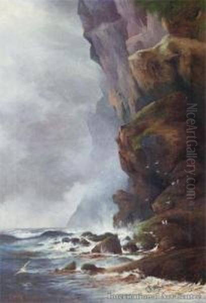 Mercury Island Cliffs - view 1