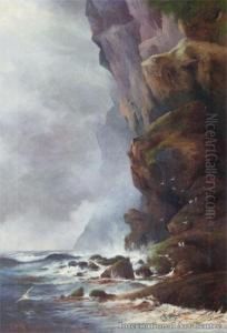 Mercury Island Cliffs by Henry William Kirkwood