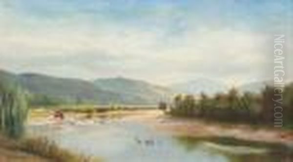 Cattle At The Riverside - view 1