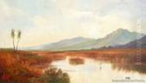 Tidal Estuary Near Nelson