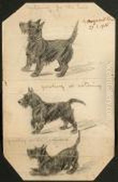 Scottie Studies - view 1