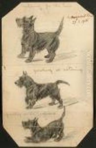 Scottie Studies by Marguerite Kirmse