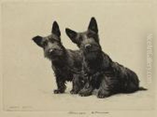 Terrier Chasing Kitten Together With Morgandennis, Two Scotties: Two - view 1