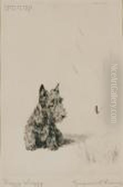 Fuzzy Wuzzy. - view 1