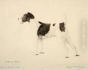 Queen Of Them All: Champion Talavera Margaret, Wire Fox Terrier