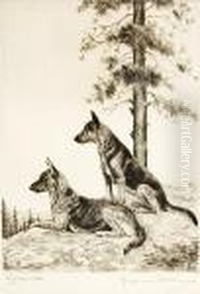 Vigilantes, German Shepherds - view 1