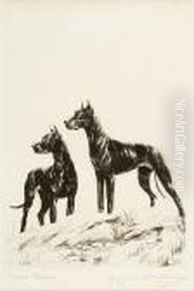 Royal Danes, Great Danes - view 1