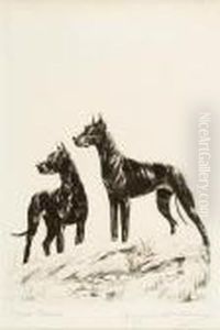 Royal Danes, Great Danes