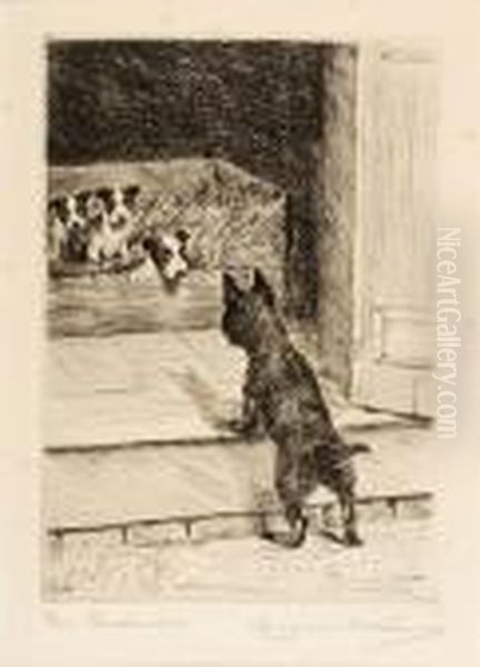 The Intruder, Scottish Terrier - view 1