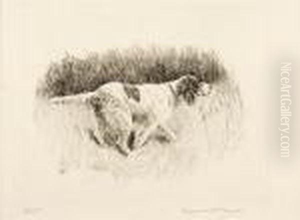 Point!, English Setter - view 1