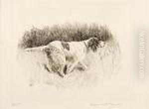 Point!, English Setter