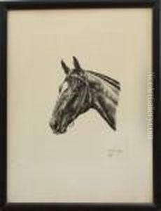 Portrait Of A Horse by Marguerite Kirmse