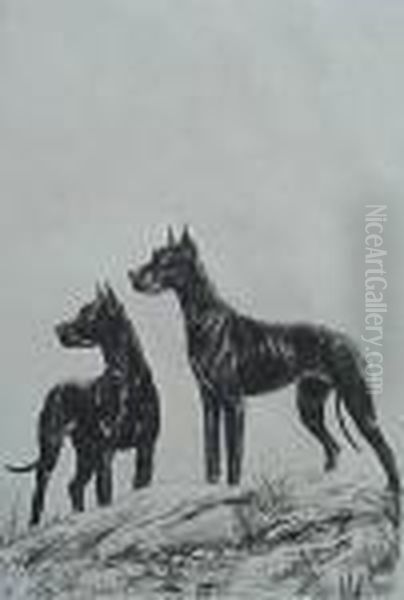 Two Great Danes- - view 1