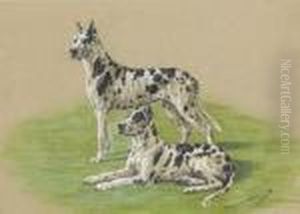 Great Danes by Marguerite Kirmse