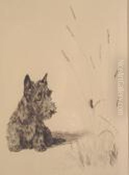 Fuzzy Wuzzy - view 1