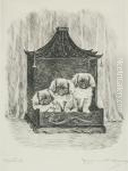 Celestials - view 1