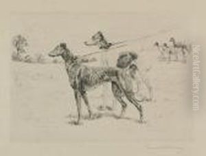 Greyhounds