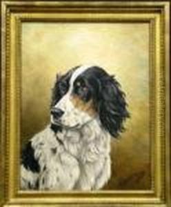Setter