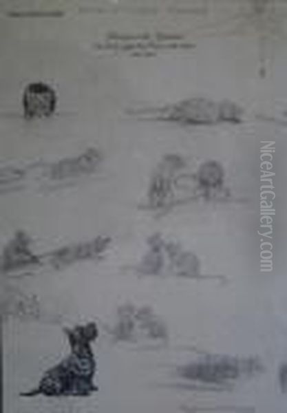 Song Without Words - view 1