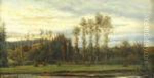 Krajina by Alois Kirnig