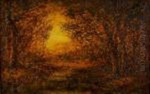 Sunlit Forest by Hudson Mindell Kitchell