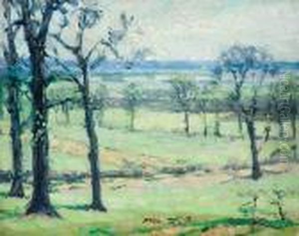 Early Spring Landscape - view 1