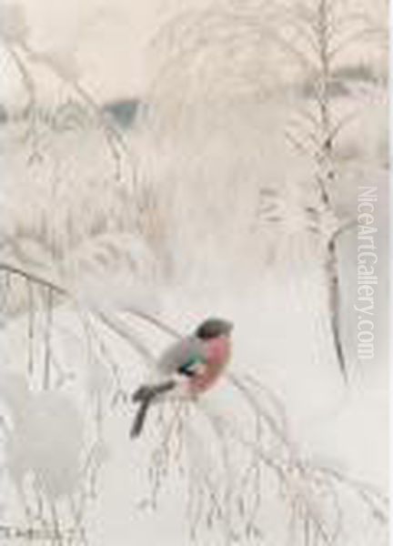 A Chaffinch In Snow - view 1
