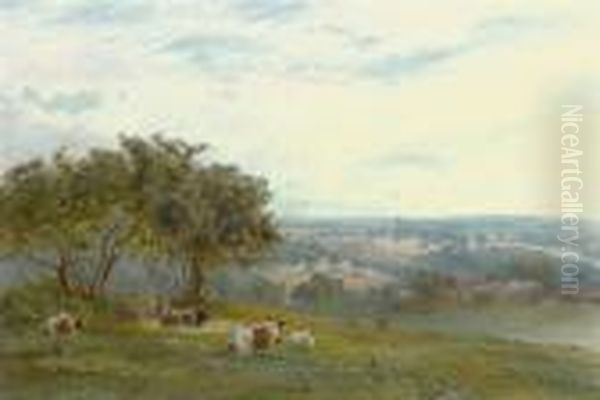 Cattle Resting In The Fields Above A Farm - view 1