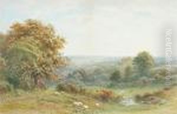 Sheep Grazing In An Extensive Landscape - view 1