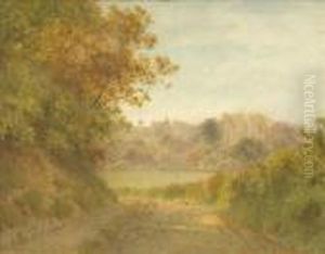 Sheep In A Country Lane