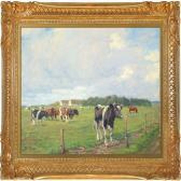 Grazing Cows On The Meadow - view 1