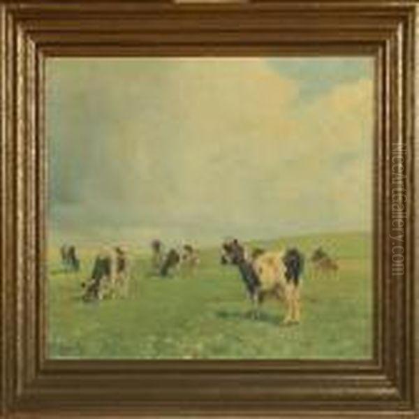 Grazing Cows In The Field - view 1