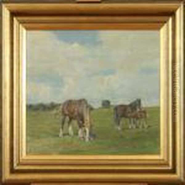 Horses At The Field A Summerday - view 1