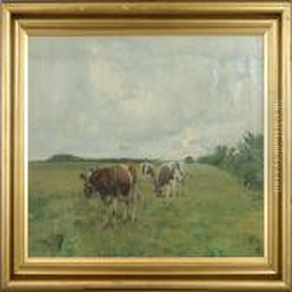 Cows In The Field - view 1