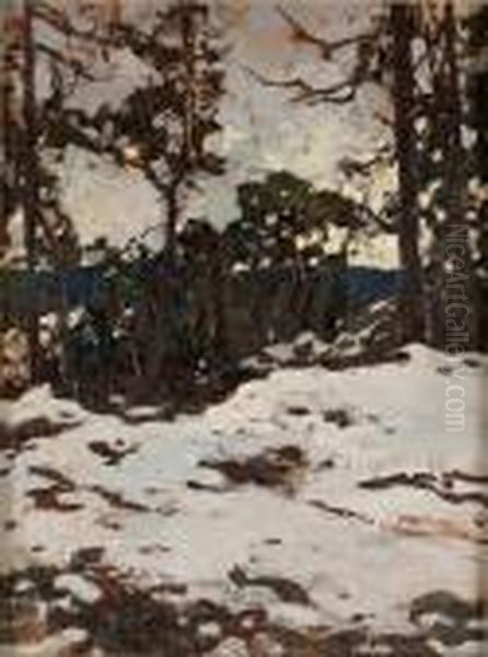 Varvinter I Ronninge - view 1